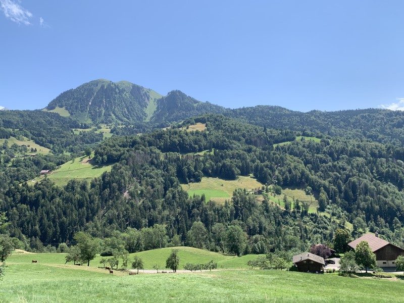 Des rires et des chants dans la caravane publicitaire de Logis Hôtels 7