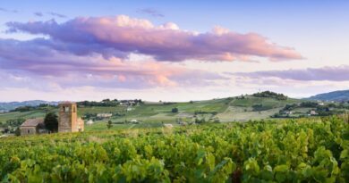 Tour de France. Etape 12. À la découverte des crus du Beaujolais 1