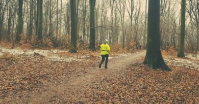 Lutte contre Alzheimer : la première course Memorun organisée dans le Bois de Vincennes 4