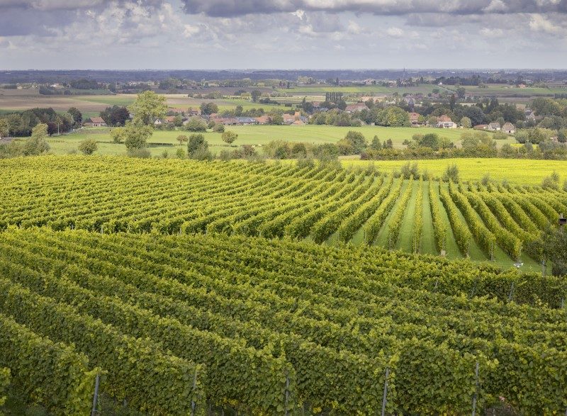 Véloroute iconique en Flandre (Belgique) : La Route Vallonnée 3