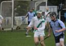 L’Irlande et ses sports typiquement locaux