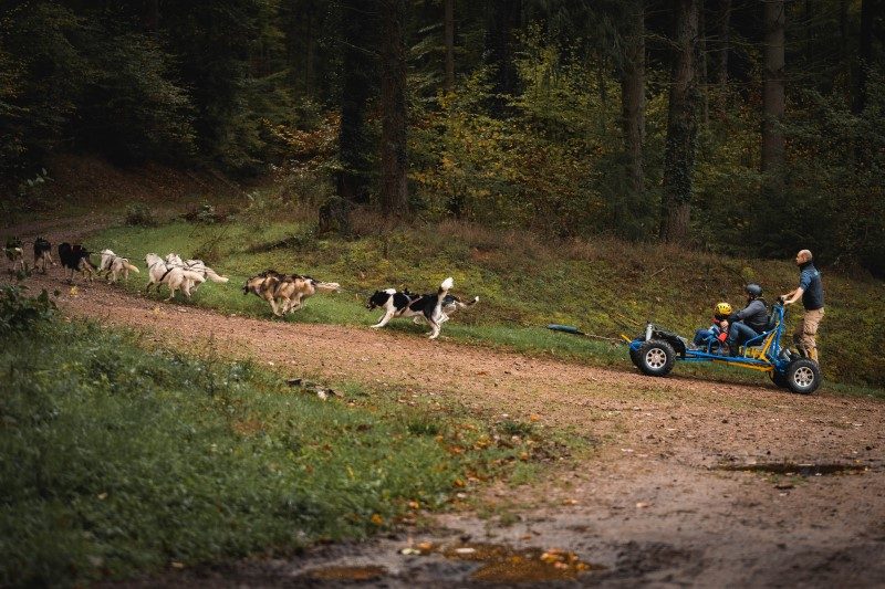 Massif des Vosges : quatre échappées nature à vivre en duo 4