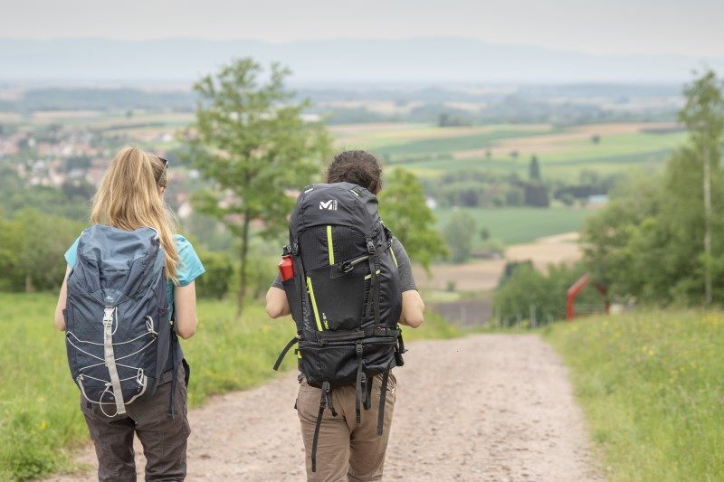 Massif des Vosges : quatre échappées nature à vivre en duo 2