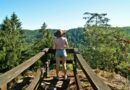 Massif des Vosges : quatre échappées nature à vivre en duo