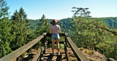 Massif des Vosges : quatre échappées nature à vivre en duo 2