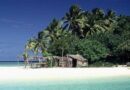 Tonga, évasion lointaine au cœur du Pacifique Sud