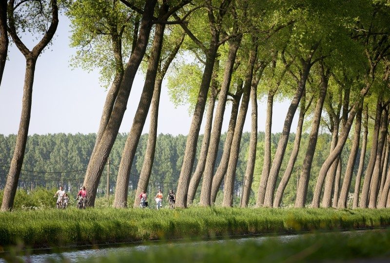 Véloroute iconique en Flandre (Belgique) : La Route de la Flandre 3