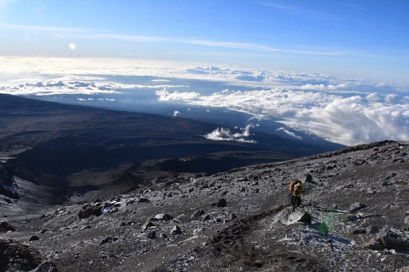 Cediv Travel, en route vers les cimes du Kilimandjaro 4