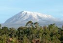 Cediv Travel, en route vers les cimes du Kilimandjaro