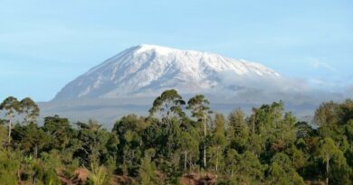 Cediv Travel, en route vers les cimes du Kilimandjaro 8