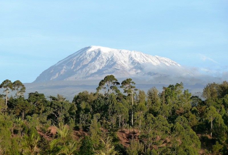 Cediv Travel, en route vers les cimes du Kilimandjaro 1