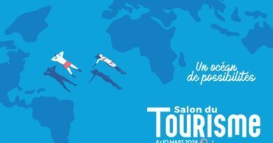 À Lyon, Mahana, le salon du tourisme, crée un village "Van Life" 16