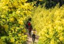Natation, running ou VTT… À Mandelieu-la-Napoule, à chacun son sport