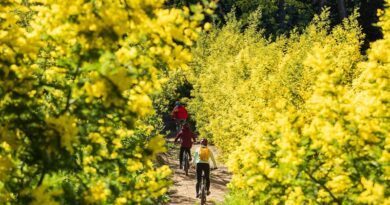 Natation, running ou VTT… À Mandelieu-la-Napoule, à chacun son sport 6