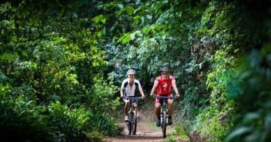 VTT, canyoning, randonnée sous le soleil d'hiver de Madère 5