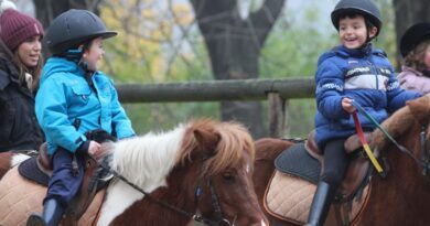 Cinq bonnes raisons d’offrir des activités équestres à son enfant