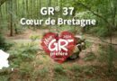 Randonnée : le GR37 – Cœur de Bretagne en Ille-et-Vilaine remporte le concours « Mon GR préféré »