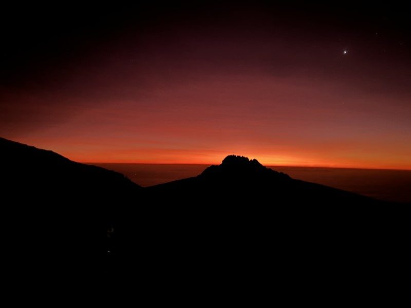 Kilimandjaro, plus c’est haut, plus c’est beau ! 15