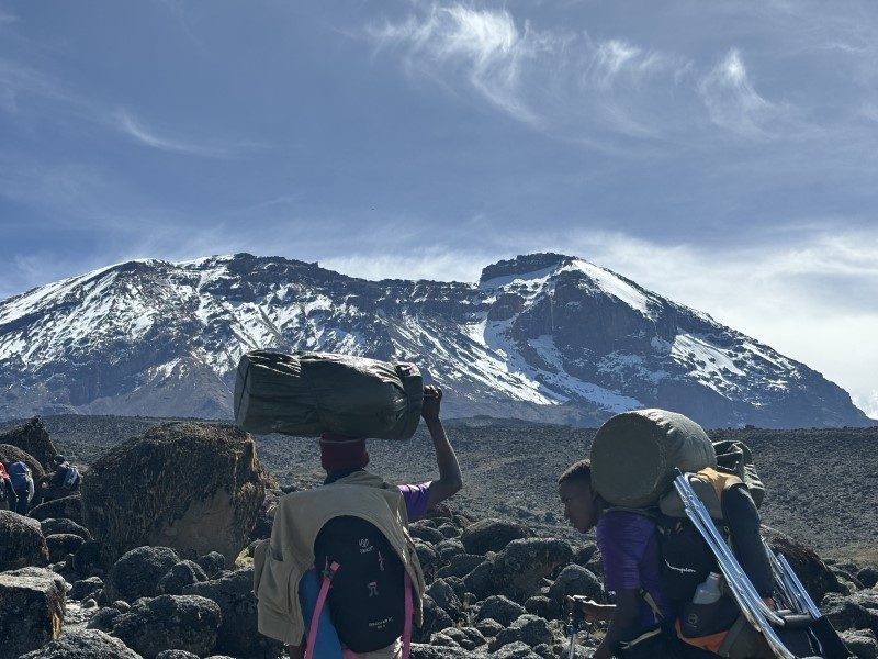 Kilimandjaro, plus c’est haut, plus c’est beau ! 20