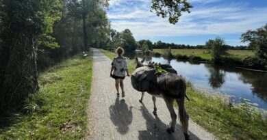 Immersion dans la beauté des paysages français avec… un âne