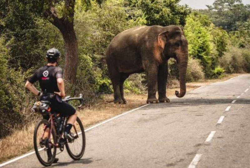BikingMan Sri Lanka : Adrien Leroux une nouvelle fois sur la ligne de départ 1