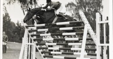 Les grands sportifs de l’Ain valorisés à travers une exposition 4