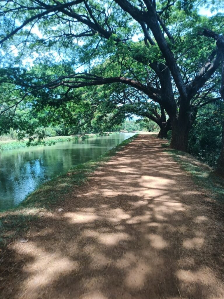 BikingMan Sri Lanka : « Nous étions des Ovnis là-bas » 4
