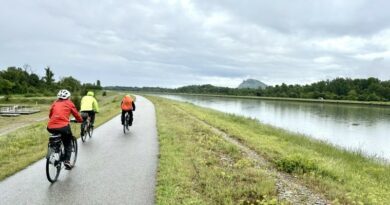 Itinérance vélo sur la ViaRhôna : morceaux de choix entre Vienne et Valence 6