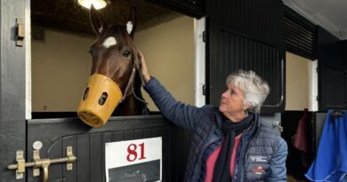 On n’en sait jamais assez trop sur le trot 3