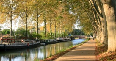 Toulouse brille sur la scène sportive 3