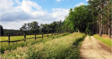 La Vendée met l’outdoor au cœur de sa proposition touristique