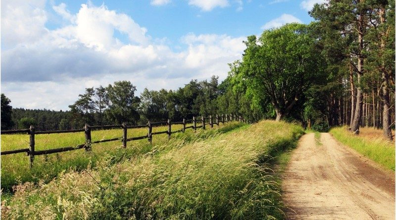 La Vendée met l’outdoor au cœur de sa proposition touristique 1 La Vendée met l’outdoor au cœur de sa proposition touristique 1