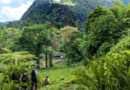 Martinique : à chaque discipline outdoor son parcours