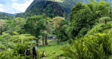 Martinique : à chaque discipline outdoor son parcours