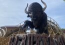 On a testé le Wild Buffalo, la nouvelle attraction de la Mer de Sable