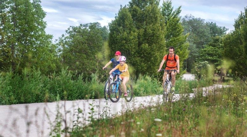 Vélotourisme : deux nouveaux circuits familiaux inaugurés en Terra Volcana