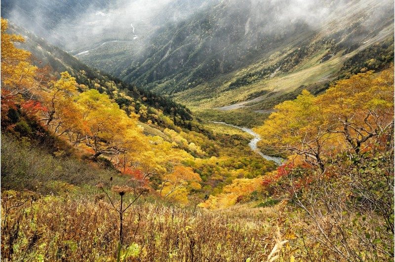 Le Kōyō, la plus tradition belle d’automne au Japon 2