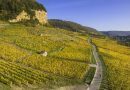 Vins, trails et bulles, le Jura a des ambitions pour cet automne