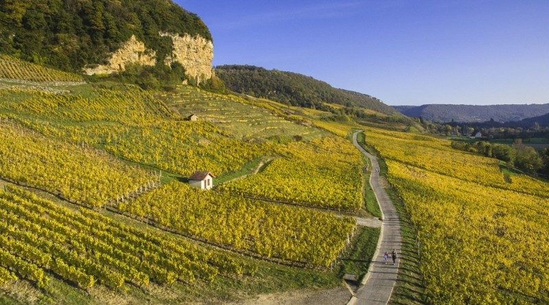 Vins, trails et bulles, le Jura a des ambitions pour cet automne 1 Vins, trails et bulles, le Jura a des ambitions pour cet automne 1