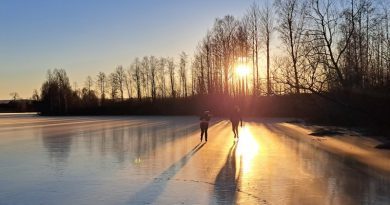 La Dalécarlie ne laisse personne de glace !