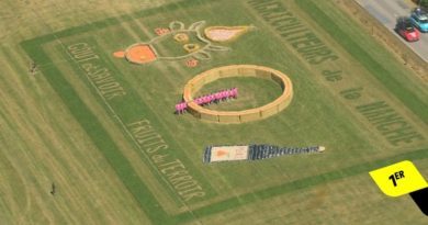La Manche, star des champs du Tour de France