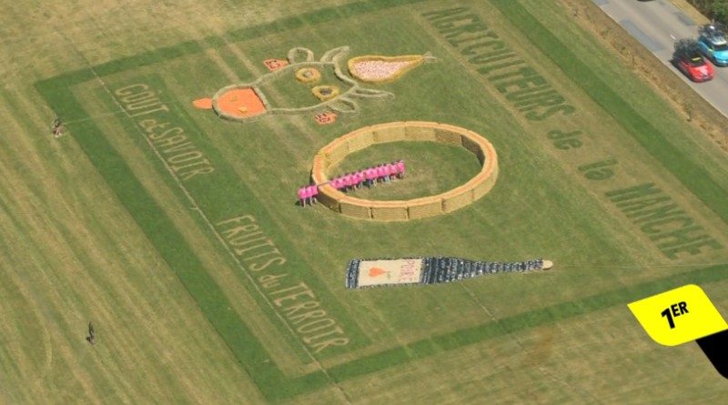 La Manche, star des champs du Tour de France
