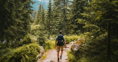 Quatre raisons d’explorer une destination à travers la randonnée