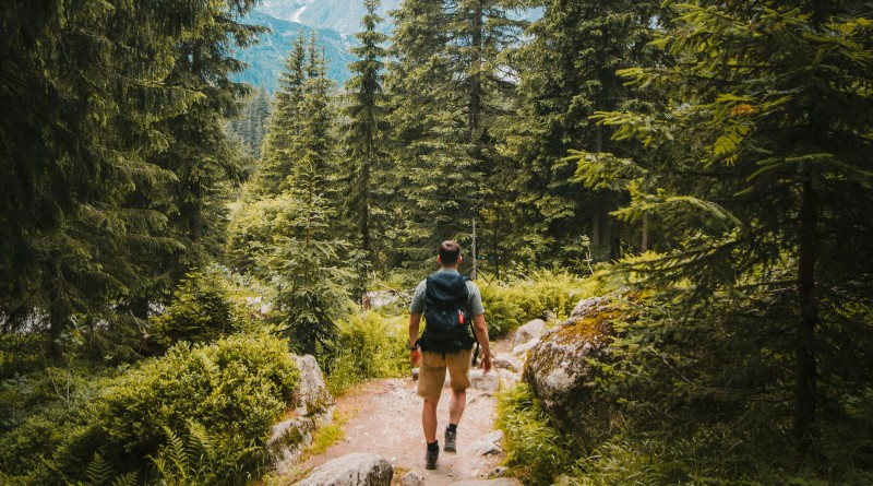 Quatre raisons d’explorer une destination à travers la randonnée