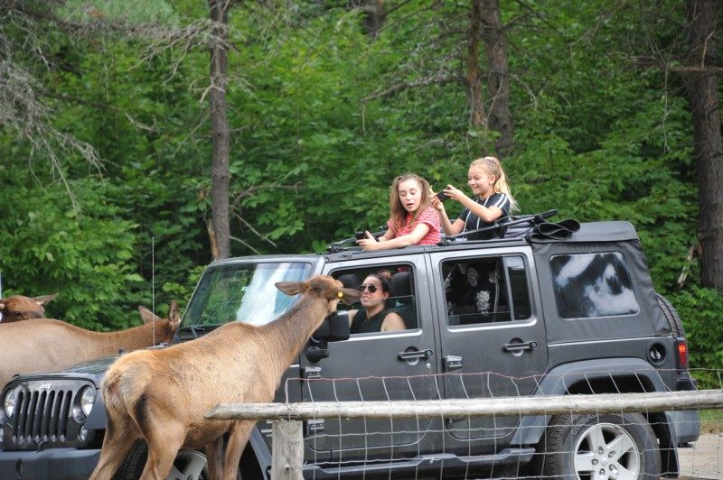 Ottawa, la capitale canadienne qui respire le sport nature 5