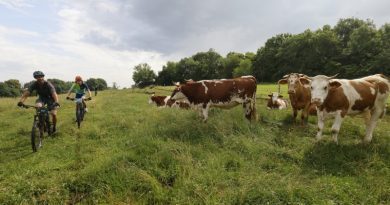 Sweat, sueur et spectacle : un nouvel été outdoor à Besançon Sweat, sueur et spectacle : un nouvel été outdoor à Besançon