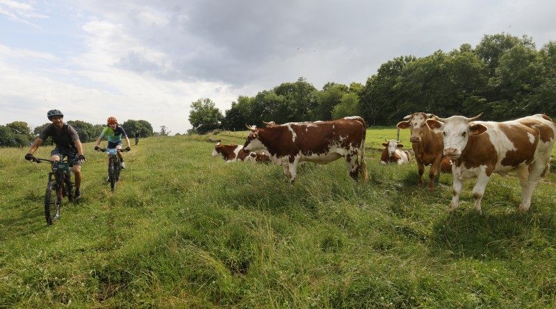 Sweat, sueur et spectacle : un nouvel été outdoor à Besançon Sweat, sueur et spectacle : un nouvel été outdoor à Besançon