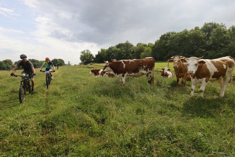 Sweat, sueur et spectacle : un nouvel été outdoor à Besançon 1 Sweat, sueur et spectacle : un nouvel été outdoor à Besançon 1