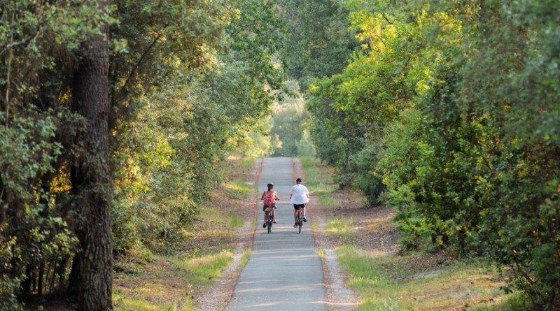 Médoc Atlantique : bouger au rythme de la nature