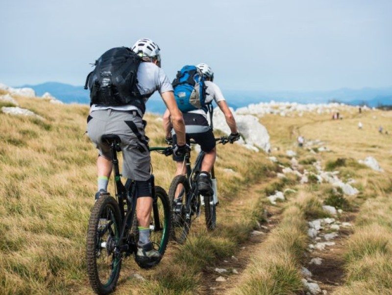 Destinations Nature 2026 : un peu moins de 50 000 visiteurs 1